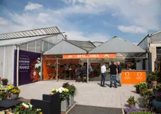 Retail area at Dümmen Orange at their location in Germany.